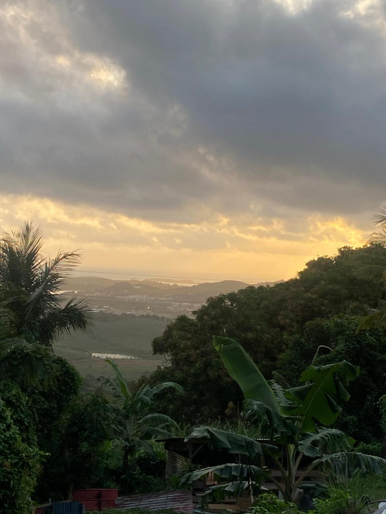 Vue Mer Le François 外观 照片